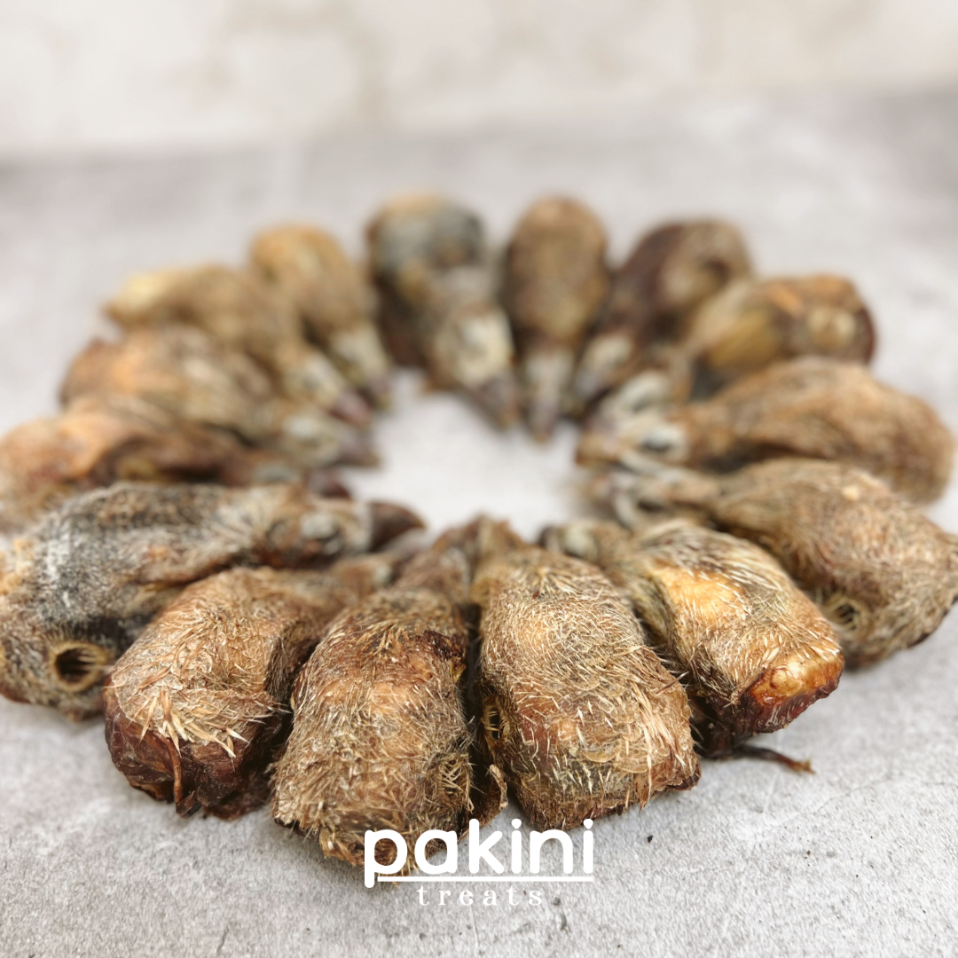 Cabeza de Pavo (1pz)