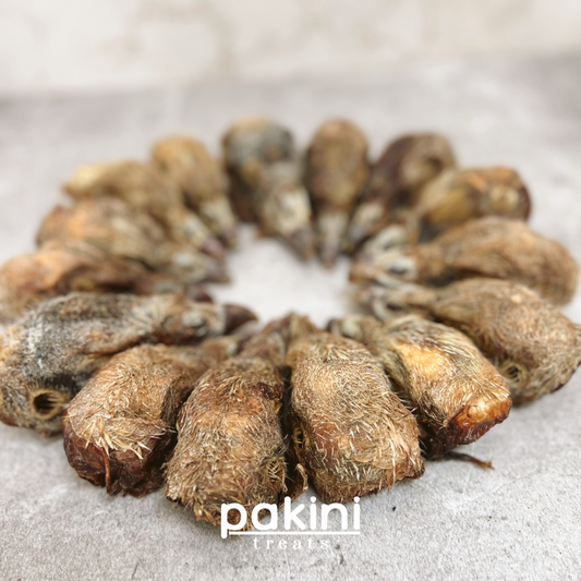 Cabeza de Pavo (1pz)