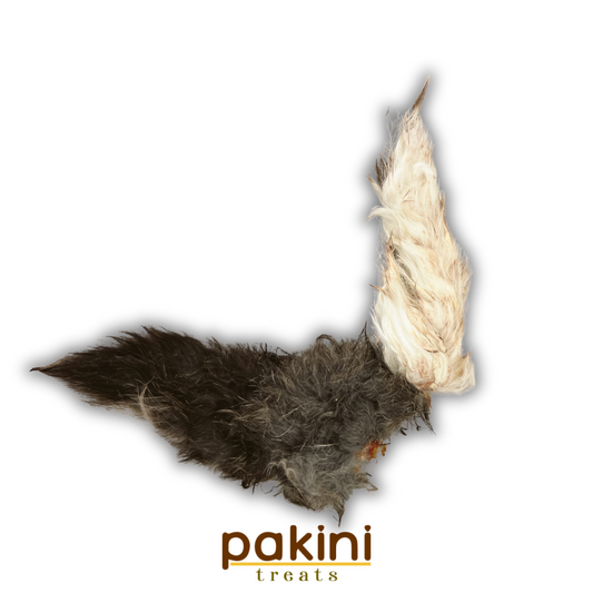 Cola de Conejo (2pz)