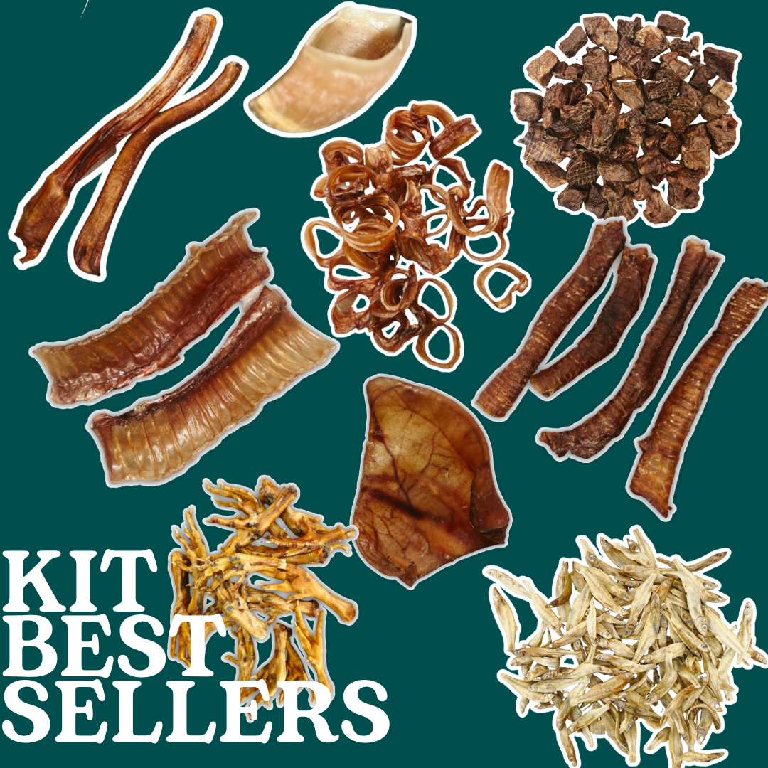 KIT BEST SELLERS