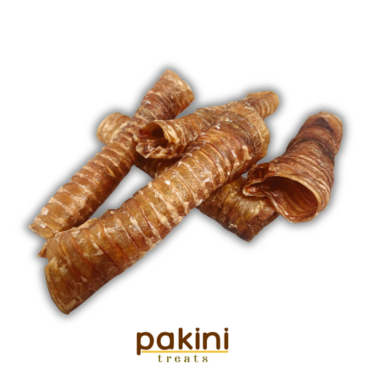 Tráquea deshidratada VALUE PACK